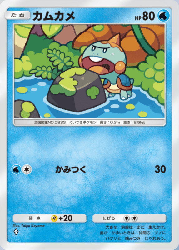 カムカメ