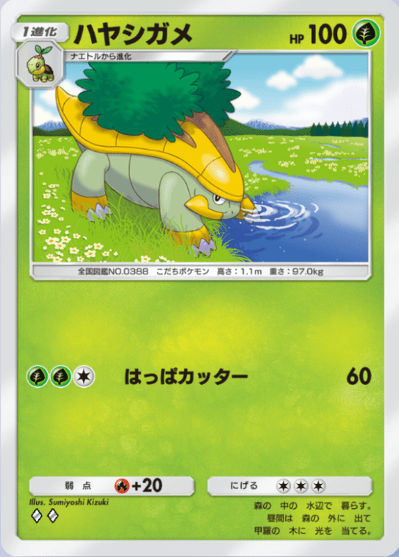 ハヤシガメ