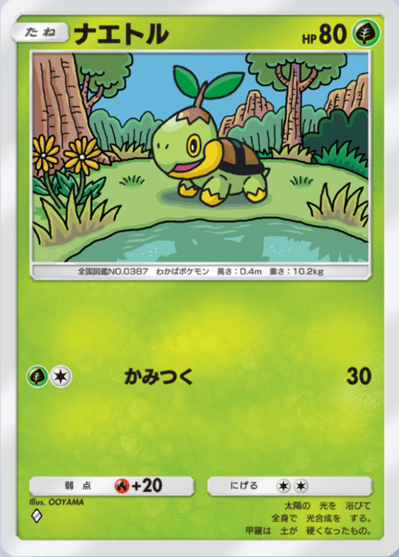 ナエトル