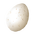 卵