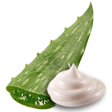 アロエクリーム