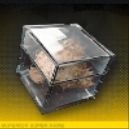 ノイズキナーゼ