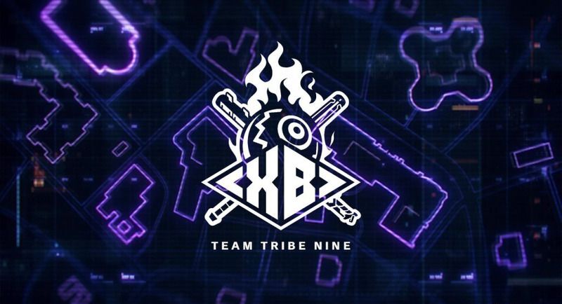 チームトライブナインのロゴ