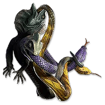 アペプの優越性 ブードゥーフォーカス