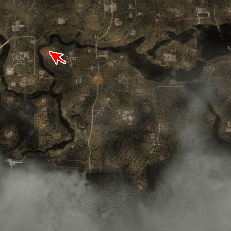 不思議な花の場所