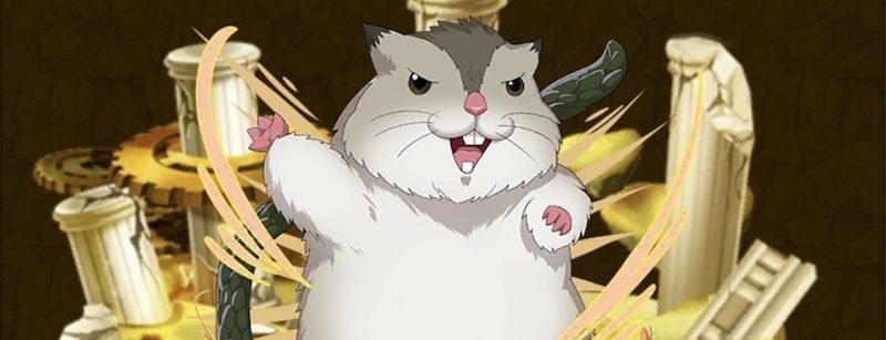 ハムスケ