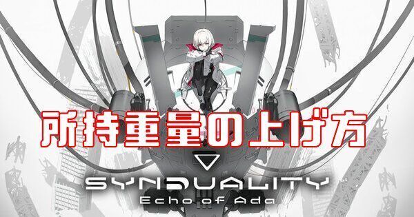 所持重量の上げ方