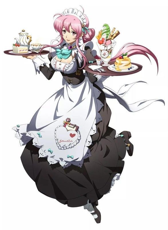 アメルダメイドスキン