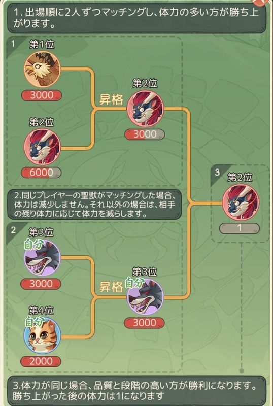 トーナメントルール