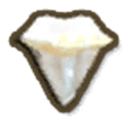 アルファサメの歯