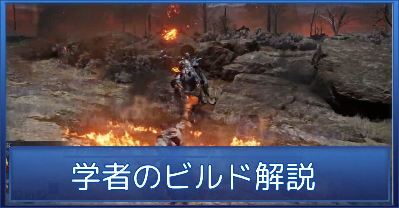 学者のビルド解説