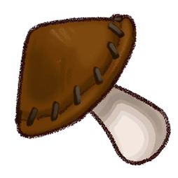 レザーウッドの葉