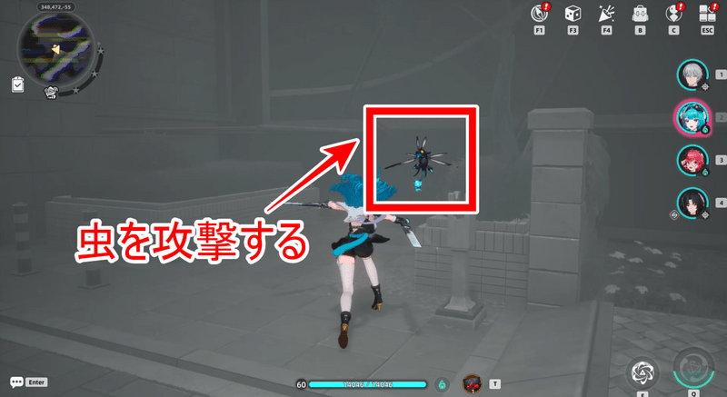 虫