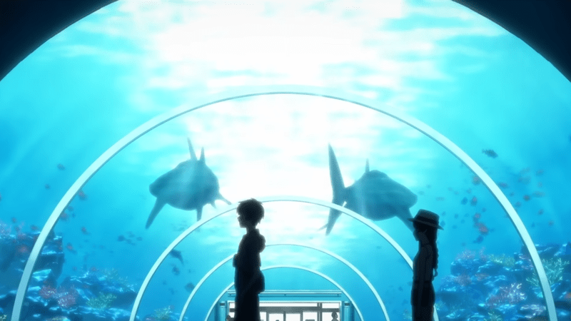 水族館（八景島シーパラダイス）