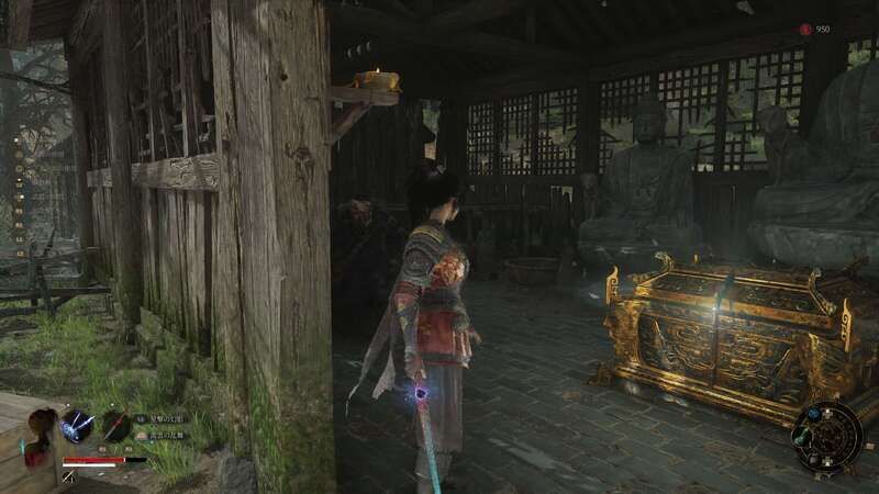羽族の亡骸の入手場所1