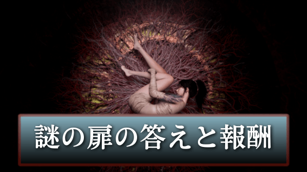 謎の扉の答えと報酬