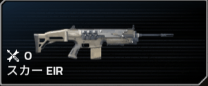 スカーEIR