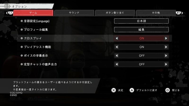 オプションを確認