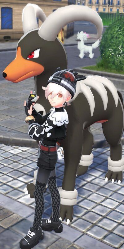 ポケモンZA概念コーデ