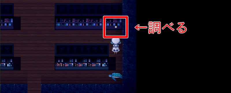 ウミガメの上にある本棚を調べる