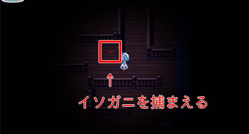 イソガニを捕まえる