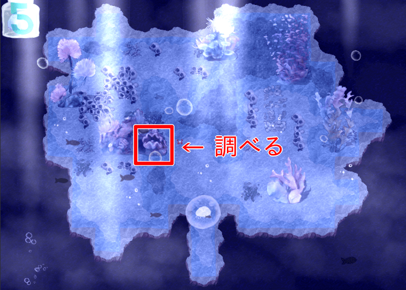 タコの餌の入手場所