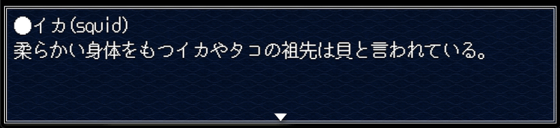 イカの英名