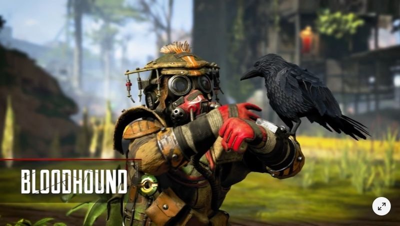 ブラッドハウンド