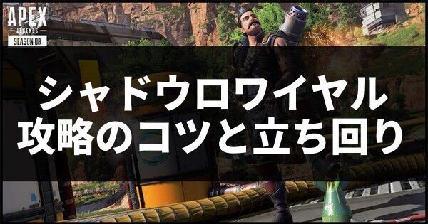 シャドウロワイヤル攻略のコツと立ち回り