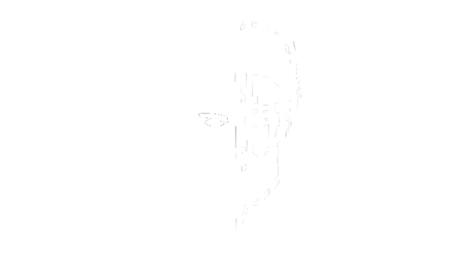 パーティライフ