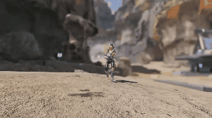 フィニッシャー