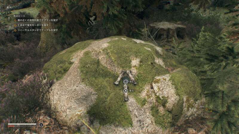 石印：月を入手