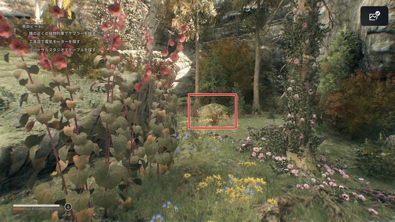 奥にある小さな岩に向かう