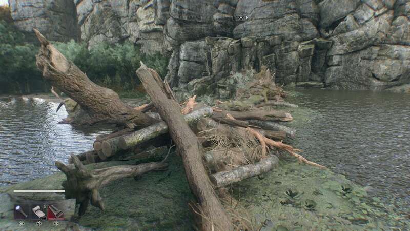 ビーバーの巣が完成している