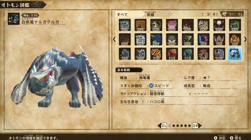白疾風ナルガクルガ