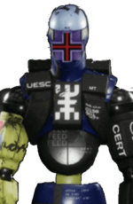 Rook