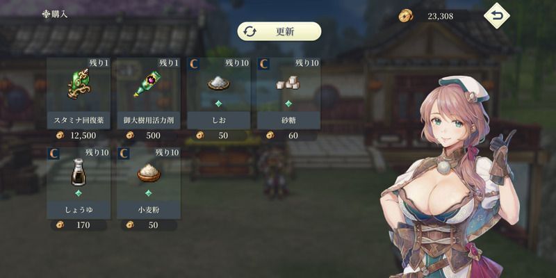 道具屋でスタミナ回復薬を購入