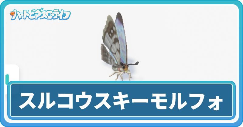 スルコウスキーモルフォの入手方法