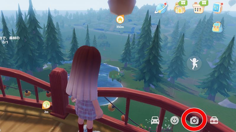 森の写真を撮る