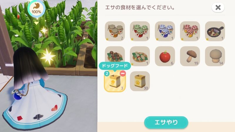 犬にエサをやる