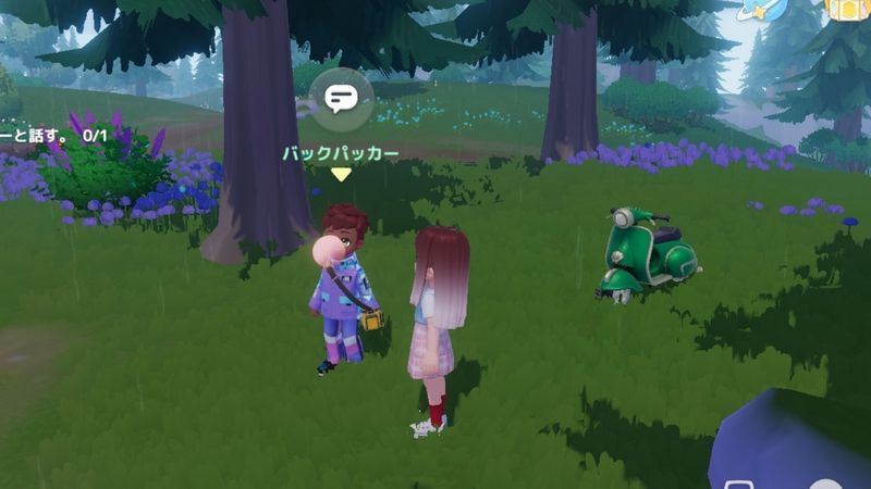 バックパッカーに会いに行き、低木を5つ渡す