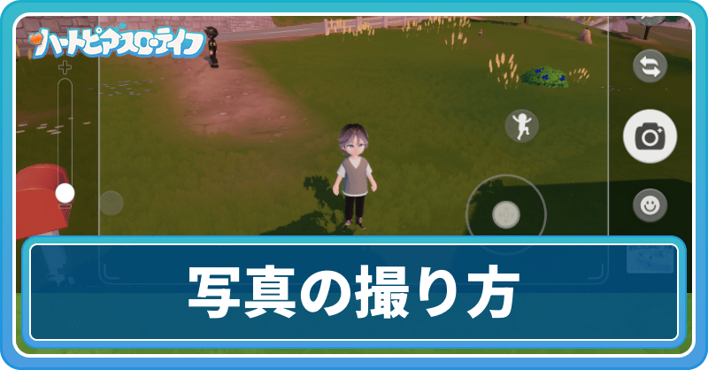 写真の撮り方とアルバムの保存方法