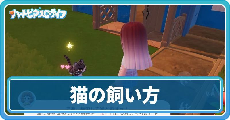 猫の飼い方