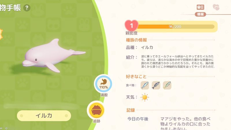 イルカ