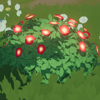 花がついた低木