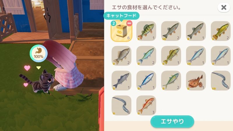 猫にエサをやる