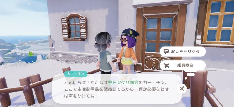 染料の入手方法6