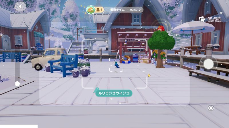 野鳥を見つけたら連射