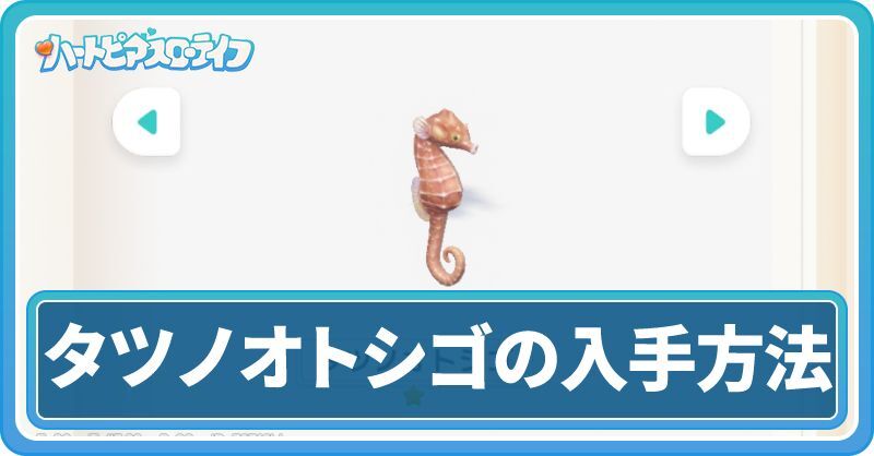 タツノオトシゴの入手方法