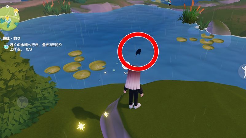 近くの池に行く